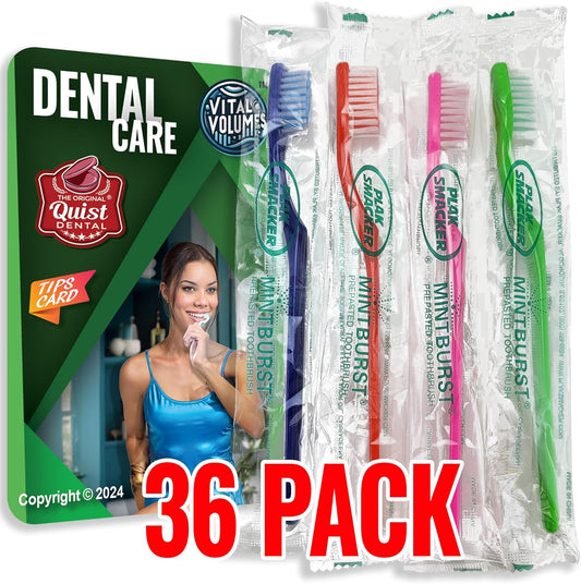 Mintburst Prepasted Individually Wrapped Toothbrush (36 Toothbrushes) and Quist Vital Volumes Dental Card | Bundle