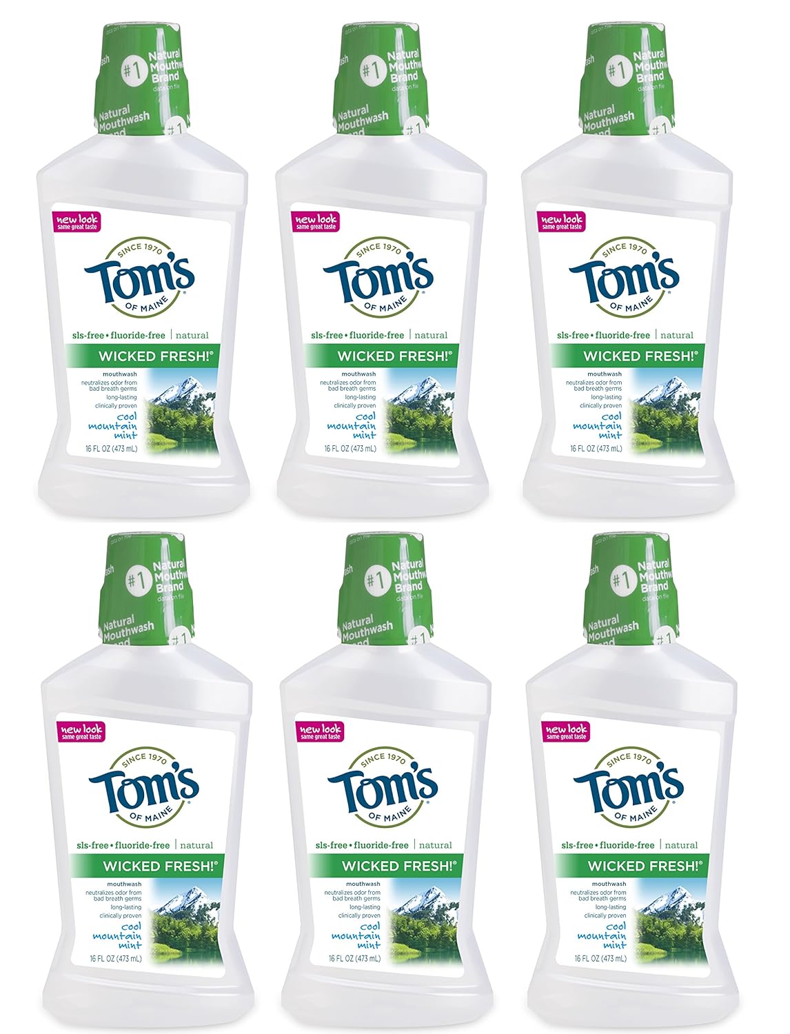 Tom's of Maine Long Lasting Wicked Fresh Cool Mountain Mint Mouth Wash, 16 Ounce Bottles, Pack of 6